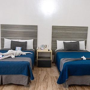 Habitación Triple Park